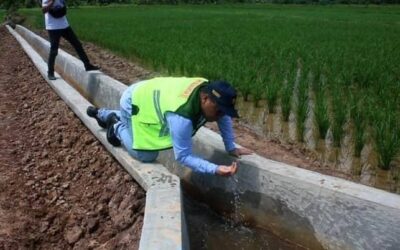 Irwan, 2.500 Hektar Sawah di Kecamatan Sangatta Selatan Berpotensi Jadi Lumbung Pangan Kaltim